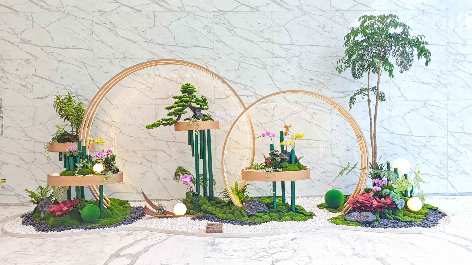 专业盆景租摆，宁波江北的绿色风景线